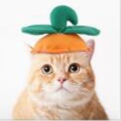 Halloween Dog Cat Hat Scarf Set Beautiful Pet Wool Felt Radish hat All yards