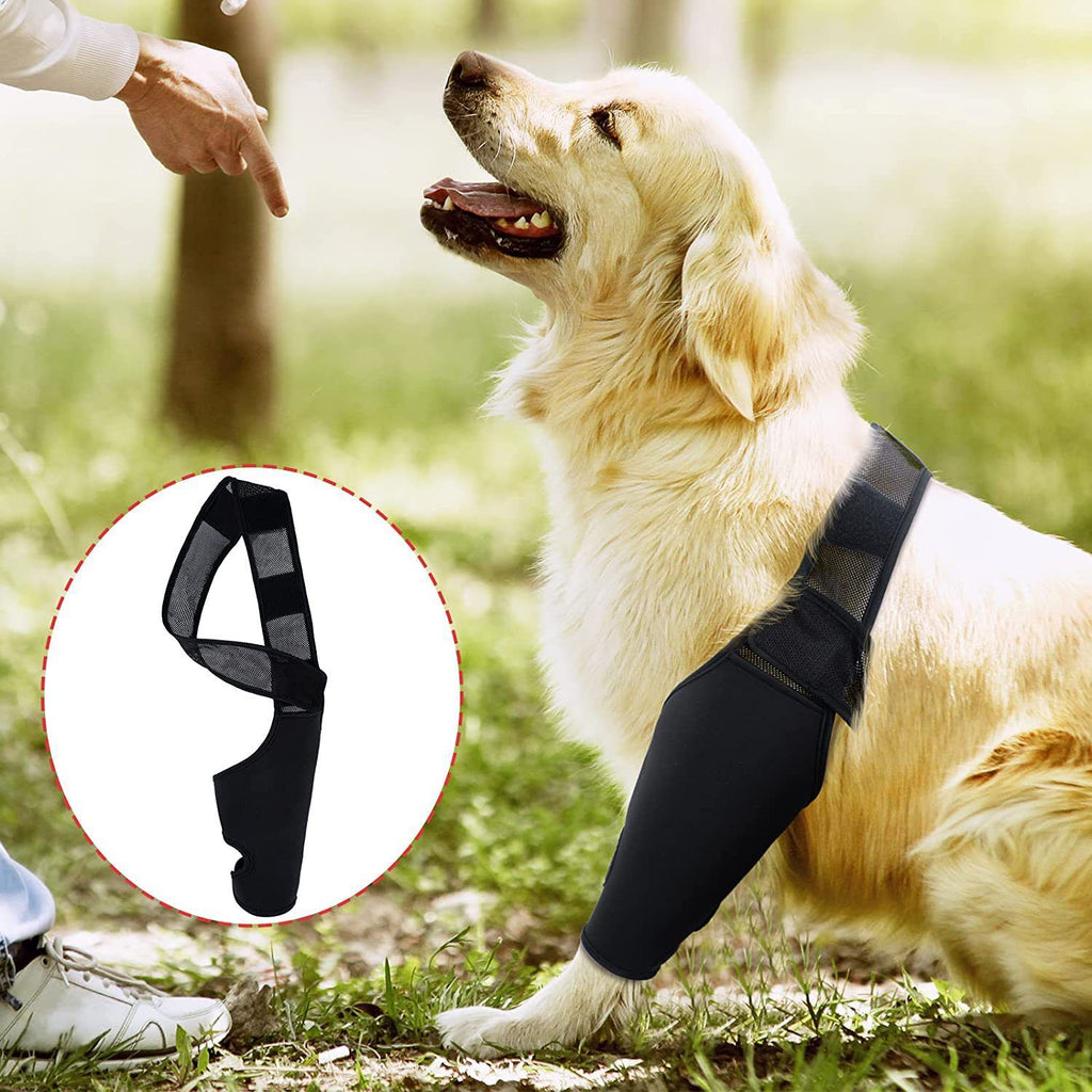 Dog Leg Brace Support Knee Pad Black M
