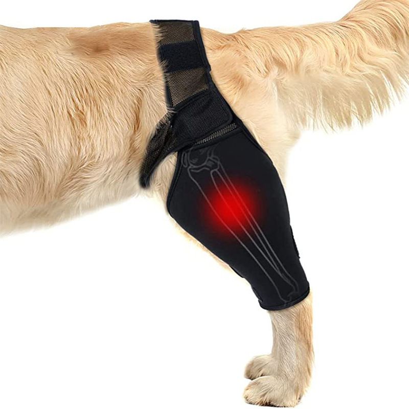 Dog Leg Brace Support Knee Pad Black