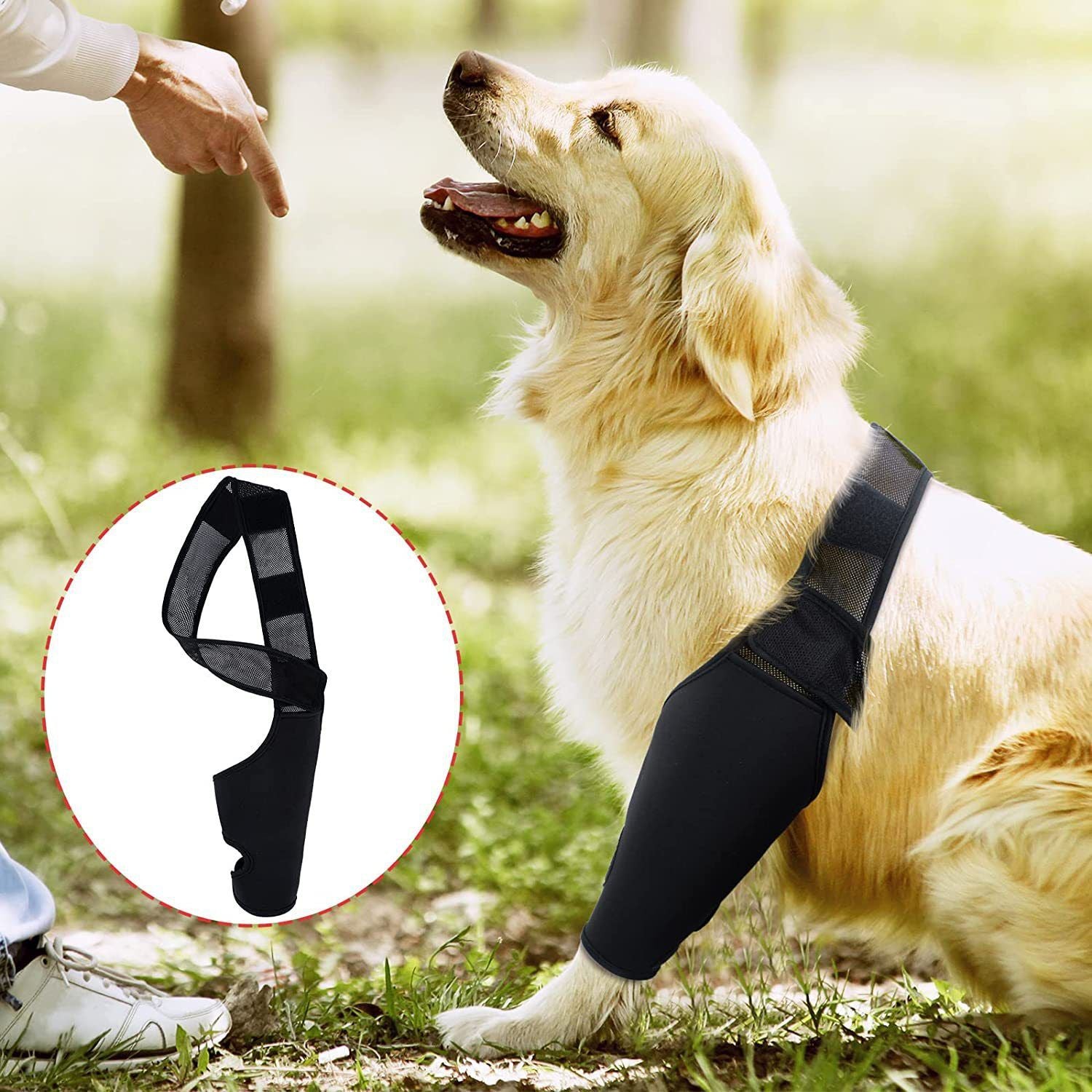 Dog Leg Brace Support Knee Pad Black