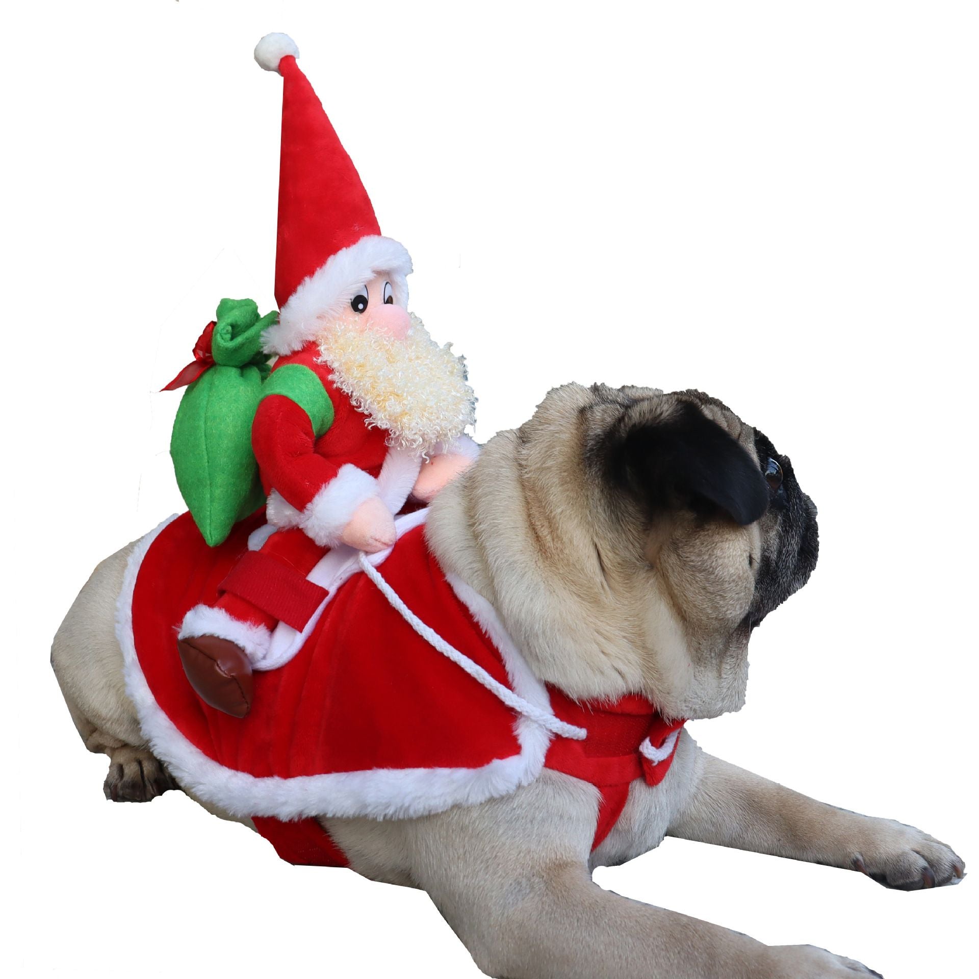 Pet Dog Christmas Costume Santa Riding Cloth Odd Pet S Old Man with White Beard