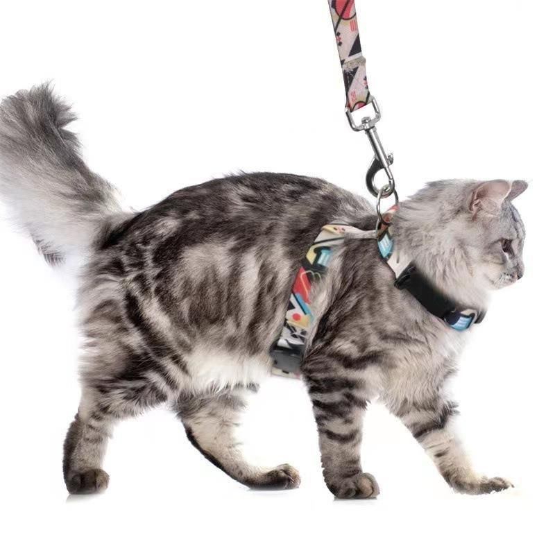Adjustable Nylon Pet Harness Cat Dog Leash Black M