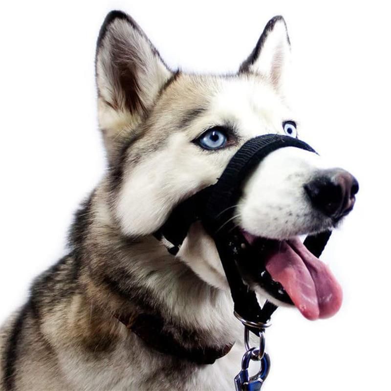 EXMOOR Nylon Dog Muzzle Adjustable Anti Bite. Upgraded reflective-Blue