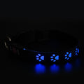 SY LED Rechargeable Nylon Dog Collar Blue L（50-60cm）