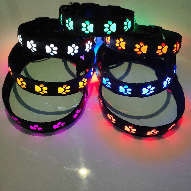 SY LED Rechargeable Nylon Dog Collar Blue L（50-60cm）