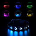 SY LED Rechargeable Nylon Dog Collar Colorful Traction rope 1.5m