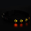 SY LED Rechargeable Nylon Dog Collar Yellow S（30-40cm）