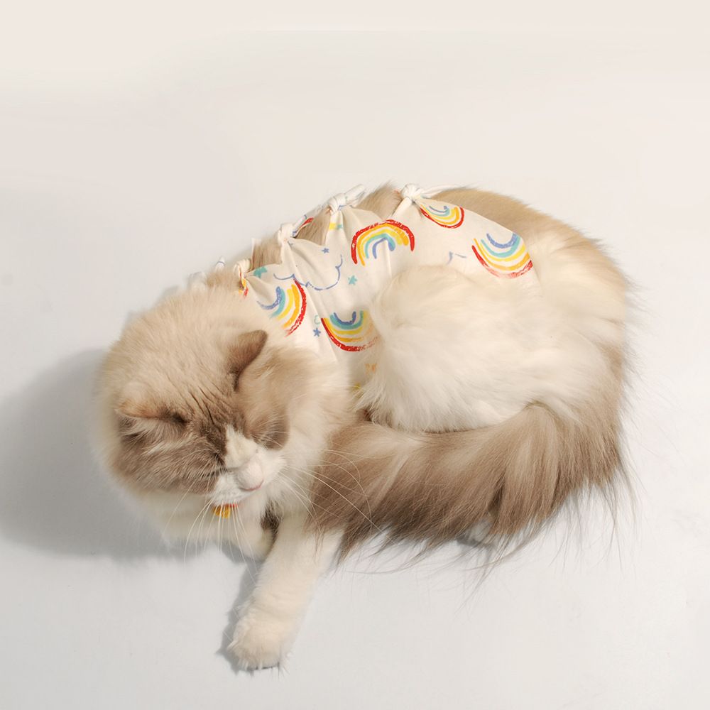 Cotton Cat Sterilization Recovery Clothing Bandage S. Dinosaur S (1.50 kg-3.00 kg