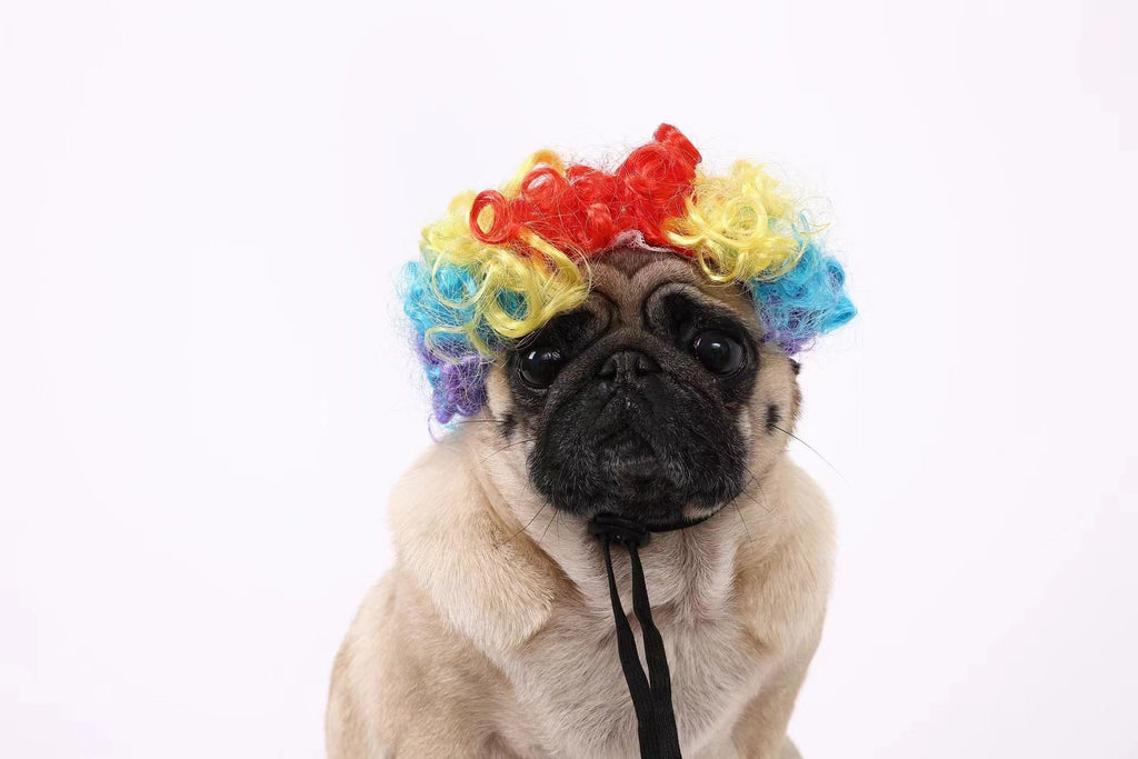 Fujia Pet Wig Dog Cat Halloween Party The clown's explosive head