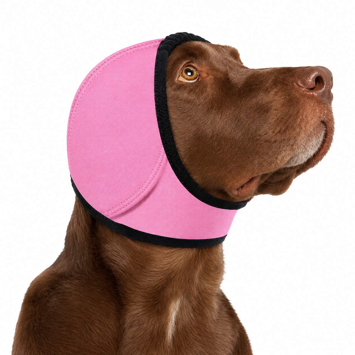 Dog Ear Covers Waterproof Swim Head Wrap Noise Reduction Calming Hood for Anxiety Relief and Ear Protection During Outdoor Activities (M, Beige)