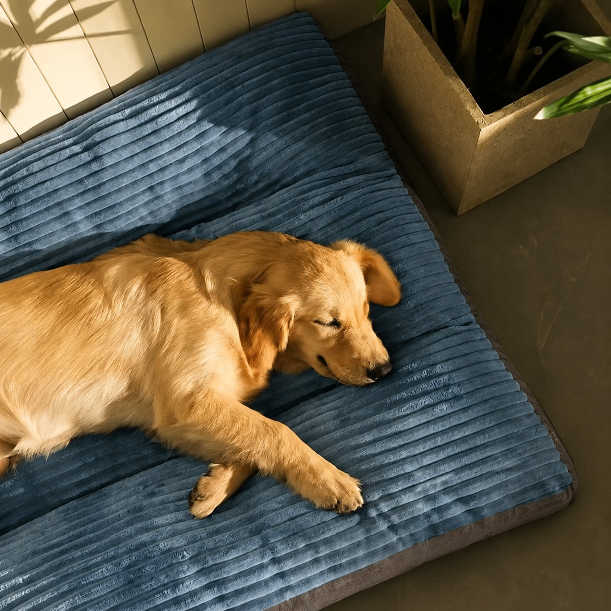 Luxuriously Soft and Thick Pet Sleeping Mat, Perfect Four-Season Floor Bed for Dogs and Cats, Removable Washable Cover with Waterproof Non-Slip Base, Ideal for Light Sleepers and All Breeds (3XL,Blue)