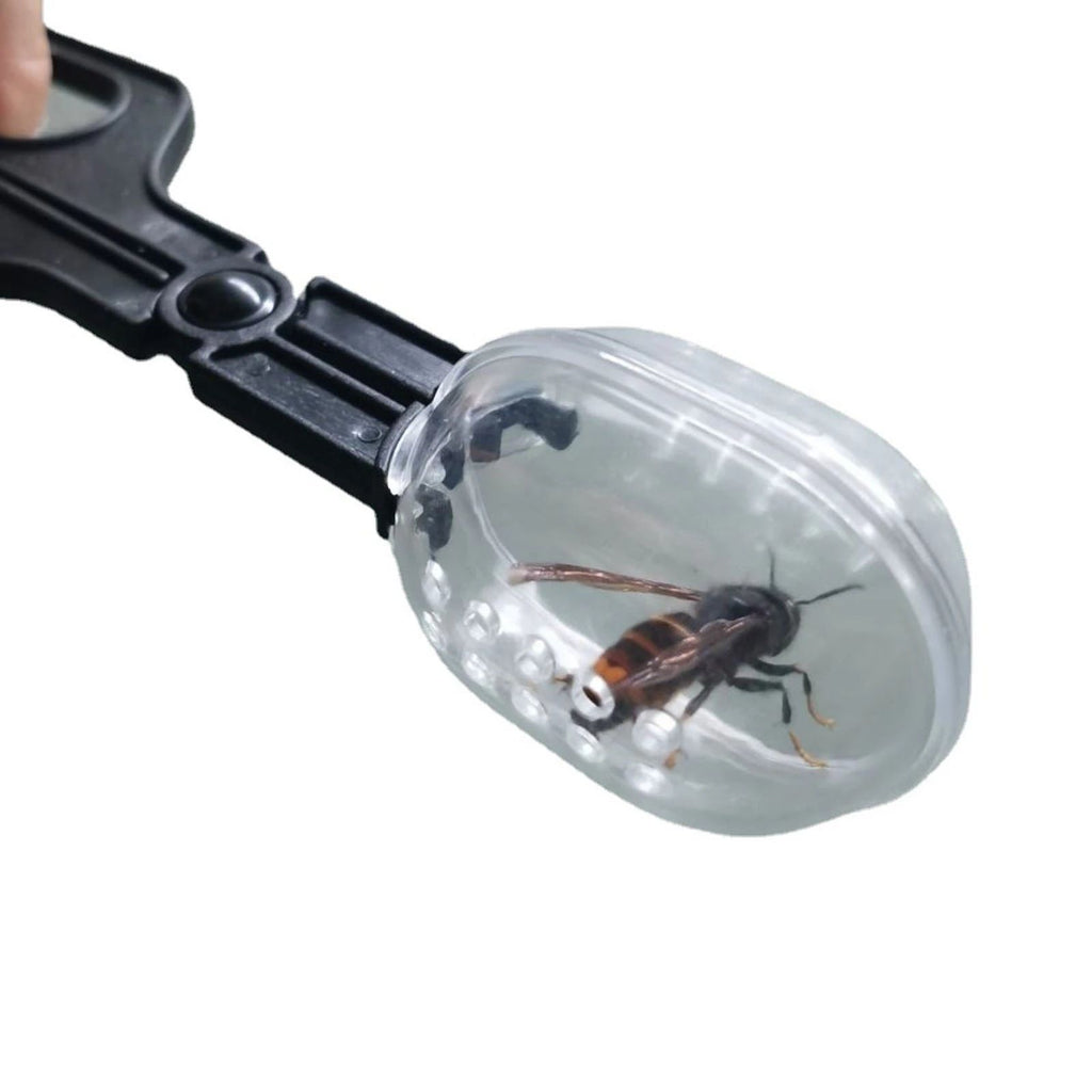 3 Pieces Reptile Feeding Clip Tongs Reptile Feeding Scooper Clamp Lizard Beetle Insect Catch Clamp for Tortoise Lizard Frog