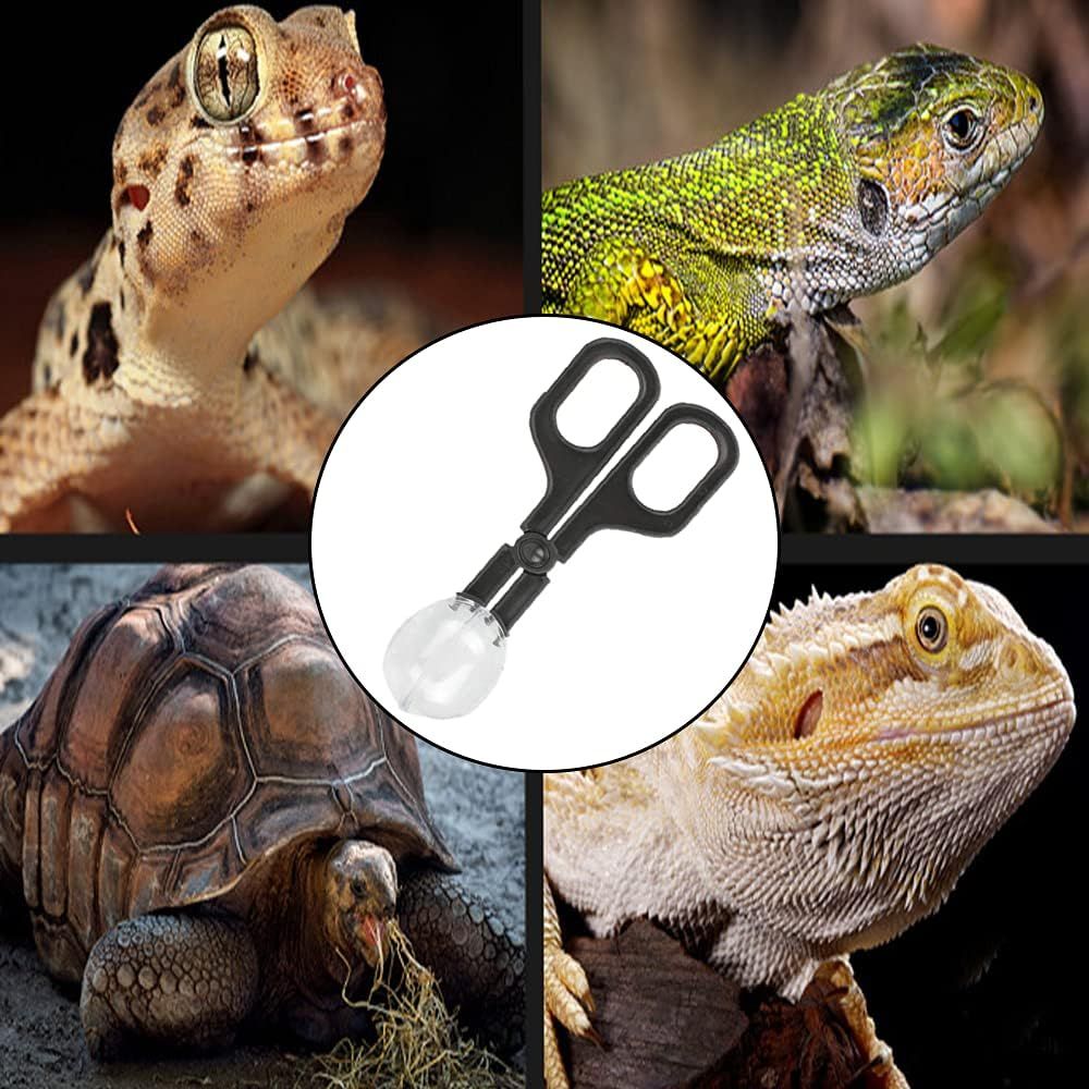 3 Pieces Reptile Feeding Clip Tongs Reptile Feeding Scooper Clamp Lizard Beetle Insect Catch Clamp for Tortoise Lizard Frog