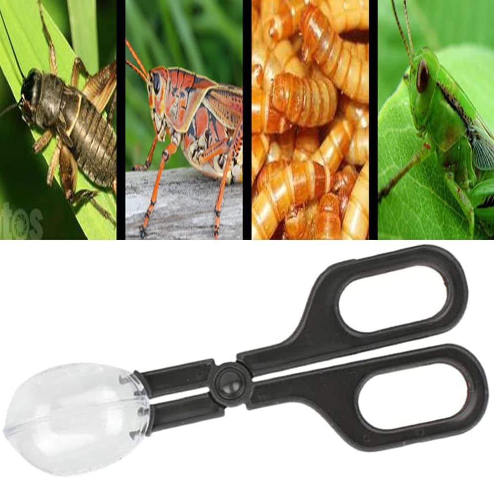 3 Pieces Reptile Feeding Clip Tongs Reptile Feeding Scooper Clamp Lizard Beetle Insect Catch Clamp for Tortoise Lizard Frog