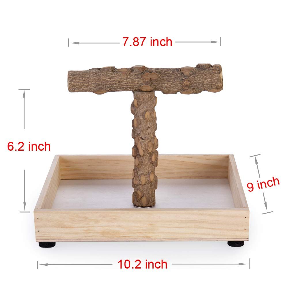 Bird Stand Tabletop,Portable Tee Stand, Parrot Play Stand Perch Gym for Small Medium Parrot (T Stand)