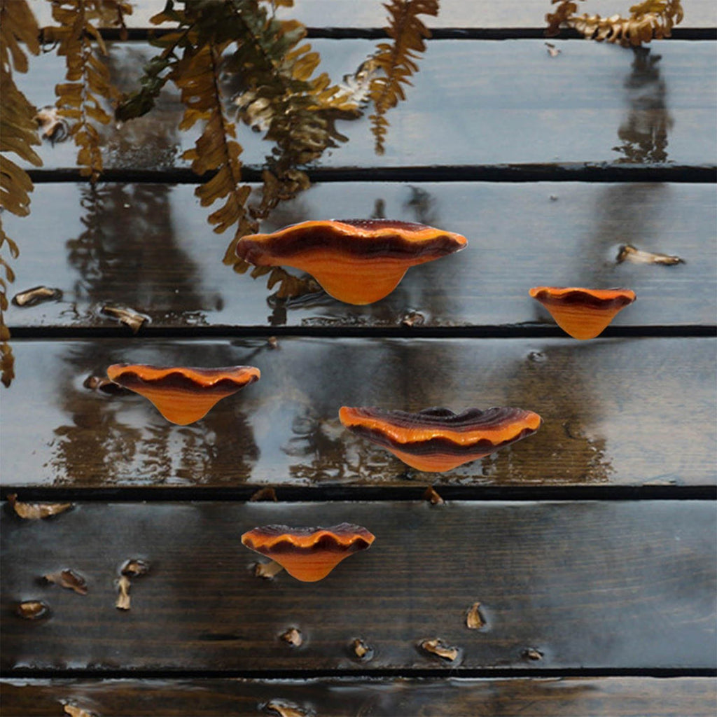 Mushroom Shelf Decoration Set of 5 - Mini Resin Mushroom Floating Shelves - Reptile Tank and Gecko Tank Accessories
