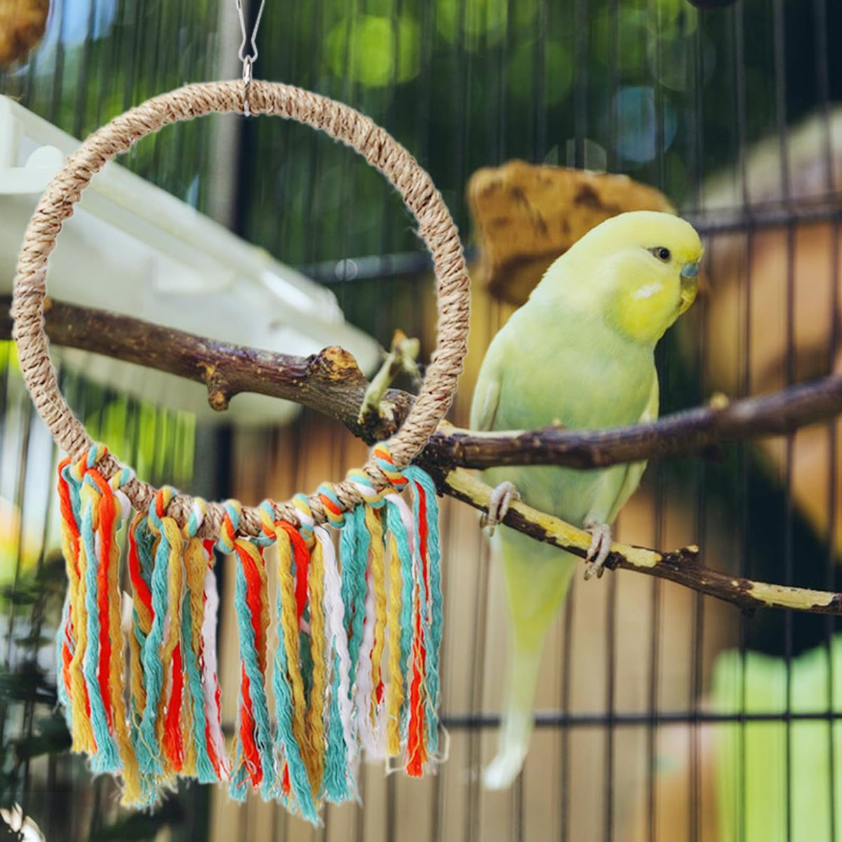 Foraging Bird Toy, Long Lasting Parrot Cage Toys, Chewing Foraging Toy, Durable Parrot Bite Toy, Cotton Rope Colorful Cage Toys