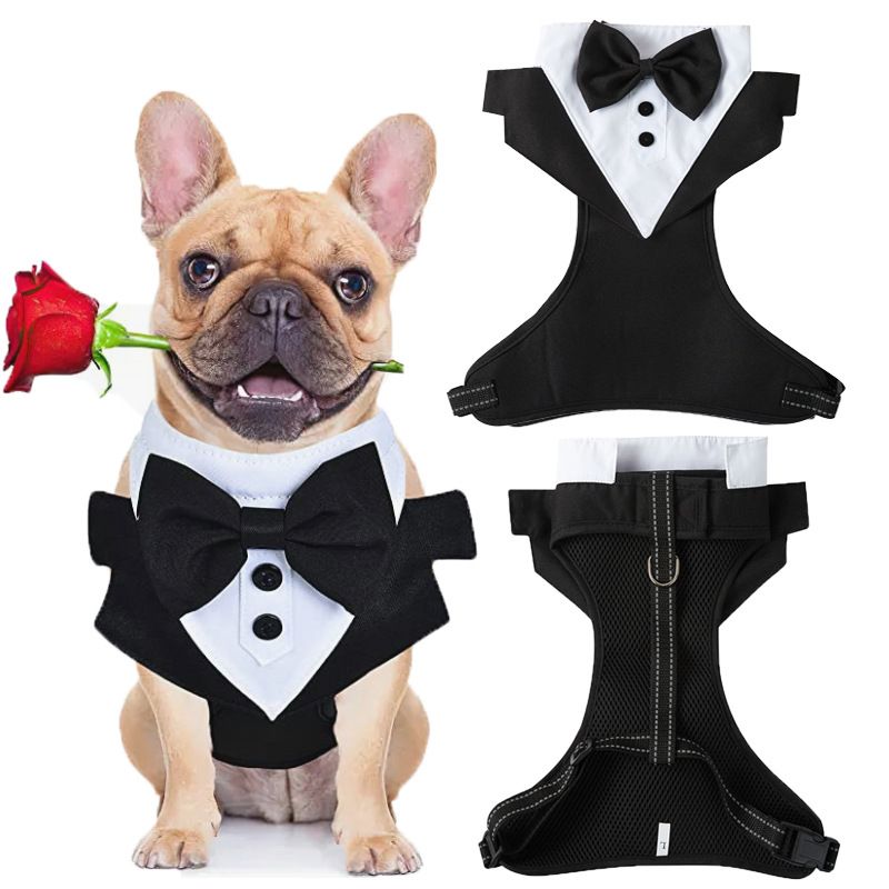 Dog Harness for Small Dogs, Stripe Chihuahua Harness with Leash, Cute Puppy Harness, Dog Vest Harness, No Choke Dog Harness