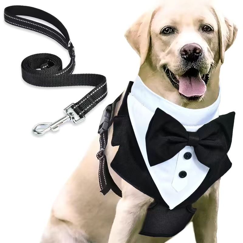 Dog Harness for Small Dogs, Stripe Chihuahua Harness with Leash, Cute Puppy Harness, Dog Vest Harness, No Choke Dog Harness