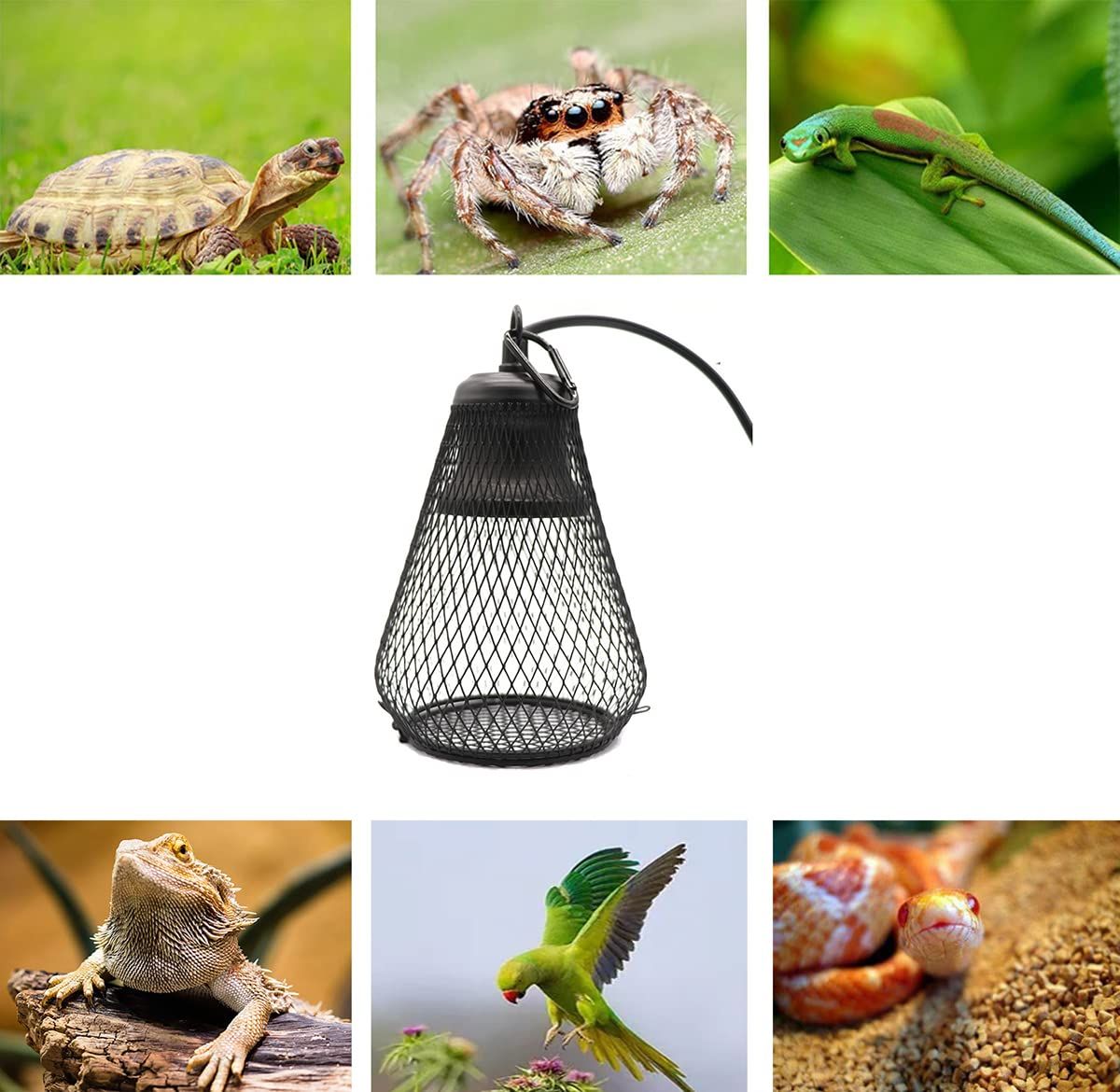 Reptile Heat Lamp, Ceramic Heat Lamps with Thermostat, for Bearded Dragon, Lizard, Tortoise, Snake,75W
