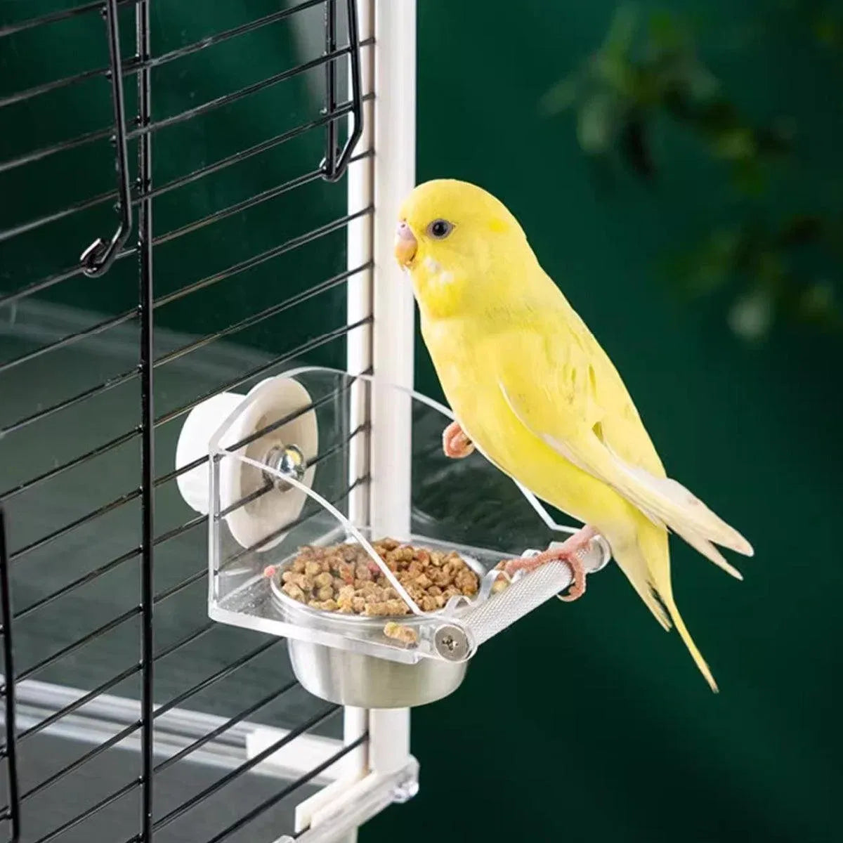 Parrot Stainless Steel Food Bowl Bird Feeder Cage Hanging Dish for Pet Birds - L