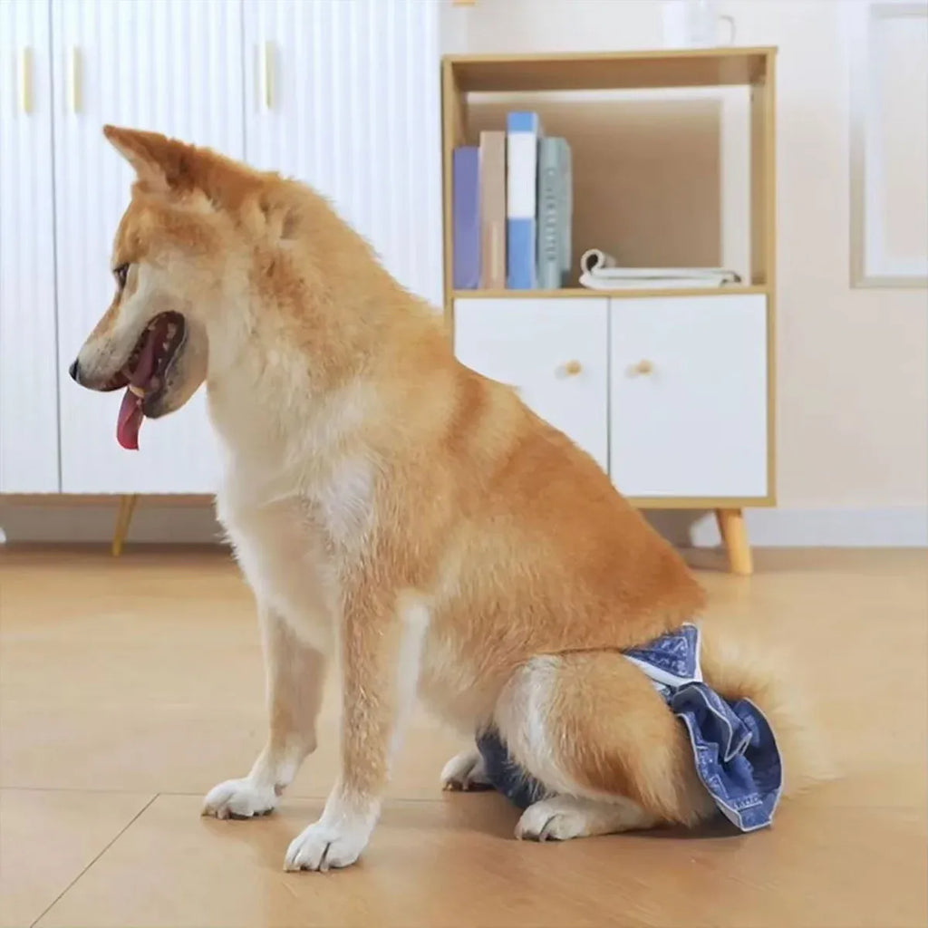 Pet Dog Diapers Female Pants Soft Breathable Underwear Reusable Sanitary Briefs - Denim Print - M