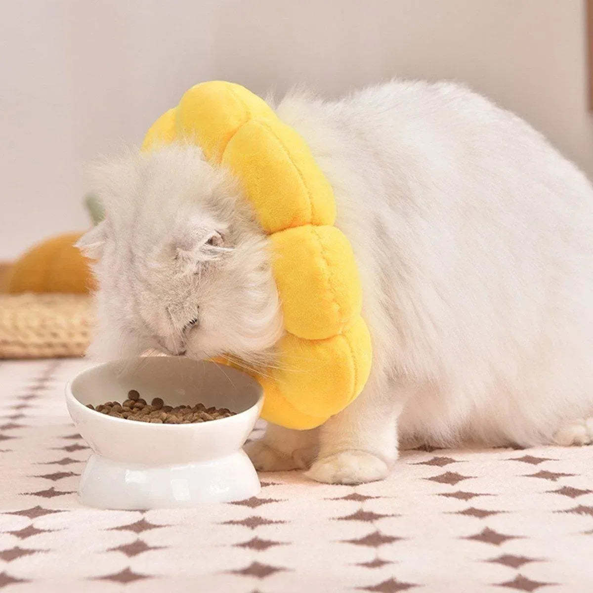 Sunflower Elizabeth Collar for Cats and Dogs Anti Licking Sterilization Headgear - M