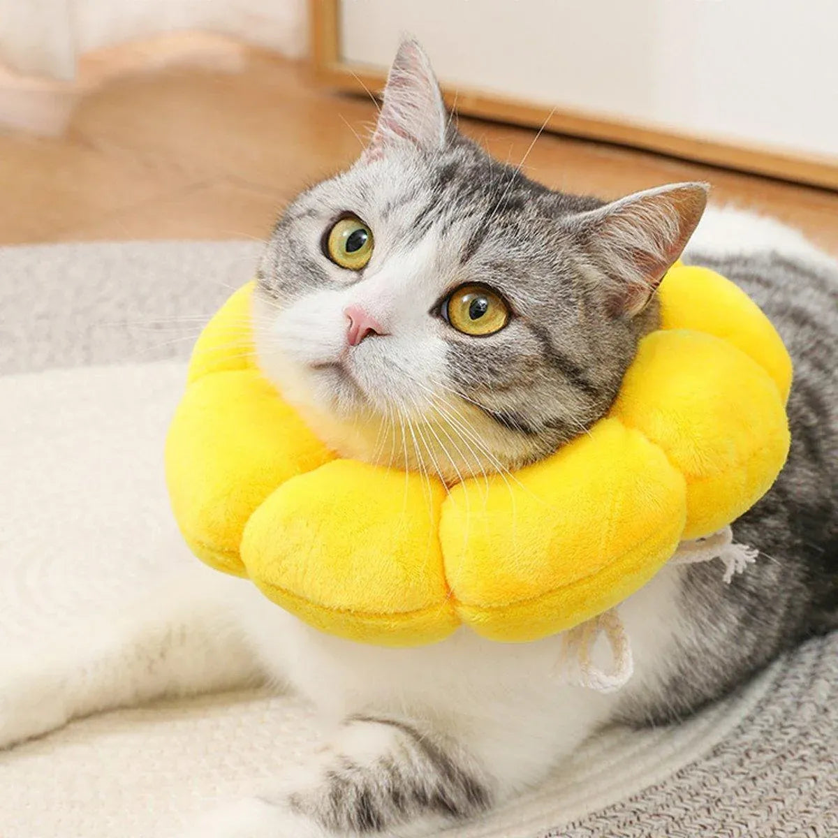 Sunflower Elizabeth Collar for Cats and Dogs Anti Licking Sterilization Headgear - M