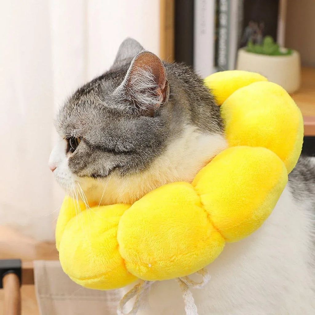 Sunflower Elizabeth Collar for Cats and Dogs Anti Licking Sterilization Headgear - XS