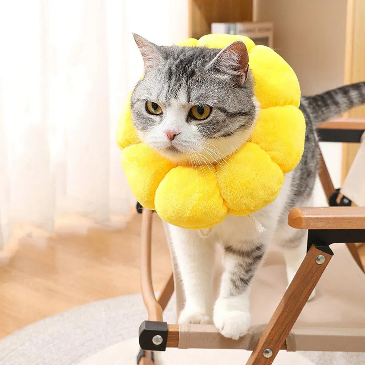 Sunflower Elizabeth Collar for Cats and Dogs Anti Licking Sterilization Headgear - XS