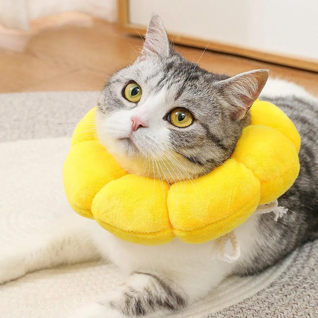 Sunflower Elizabeth Collar for Cats and Dogs Anti Licking Sterilization Headgear - XS
