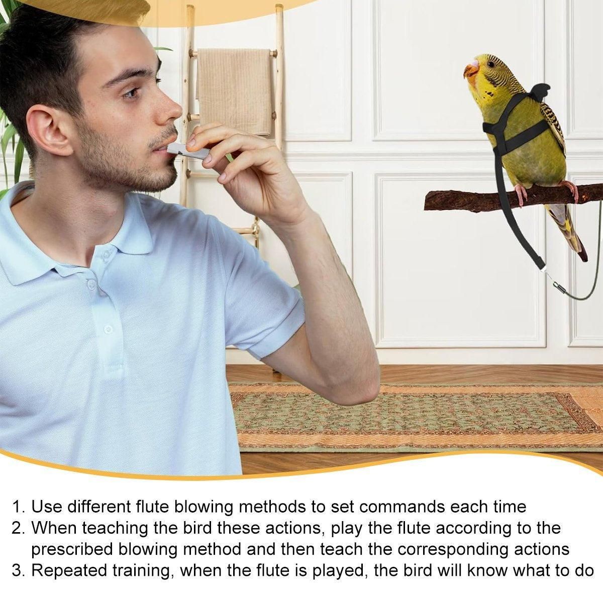Bird Training Whistle Pet Bird Equipment Tease Lead Whistle for Pet Birds Parrot - Silver
